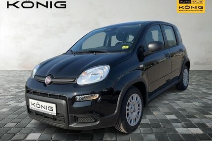 Fiat Panda Gebrauchtwagen