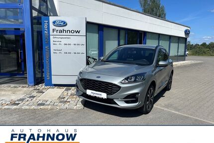Ford Kuga Gebrauchtwagen