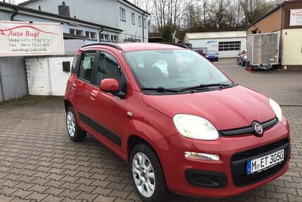 Fiat Panda Gebrauchtwagen