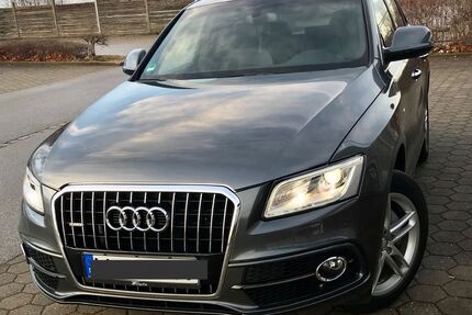 Audi Q5 Gebrauchtwagen