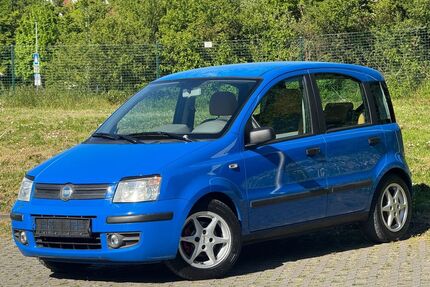 Fiat New Panda Gebrauchtwagen
