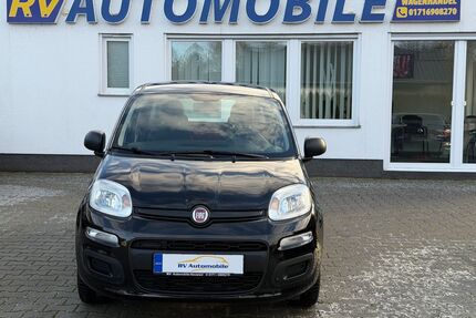 Fiat Panda Gebrauchtwagen