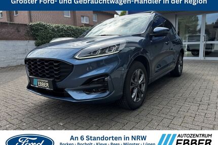Ford Kuga Gebrauchtwagen