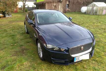 Jaguar XE Gebrauchtwagen