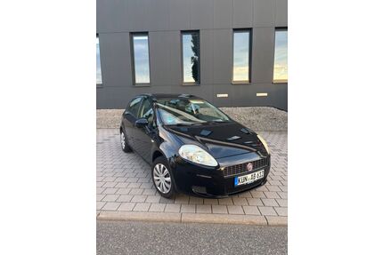 Fiat Punto Gebrauchtwagen