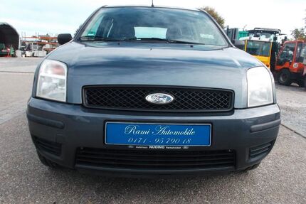 Ford Fusion Gebrauchtwagen