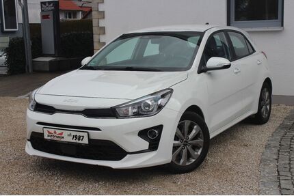 Kia Rio Gebrauchtwagen