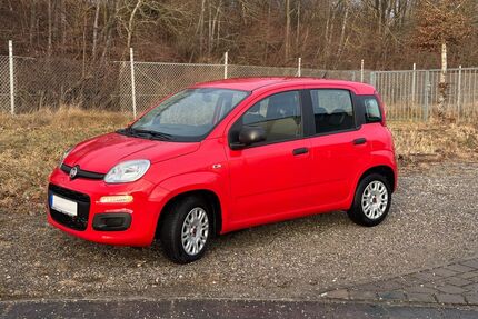 Fiat New Panda Gebrauchtwagen