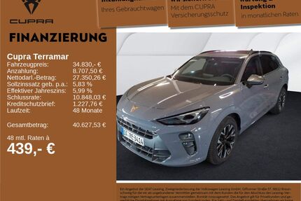 Cupra Terramar Gebrauchtwagen