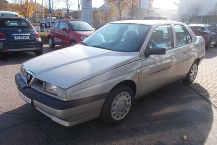 Alfa Romeo 155 Gebrauchtwagen
