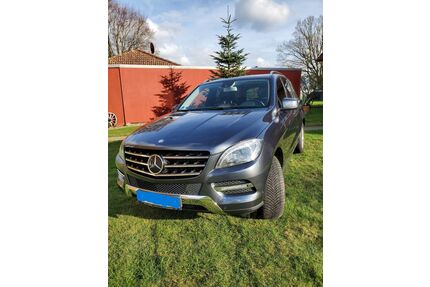 Mercedes-Benz ML 350 Gebrauchtwagen