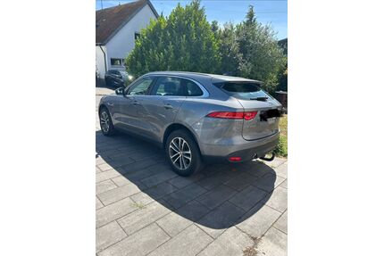 Jaguar F-Pace Gebrauchtwagen