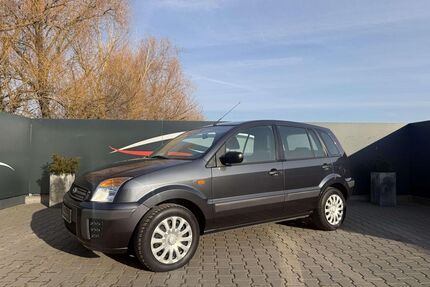 Ford Fusion Gebrauchtwagen