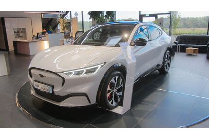 Ford Mustang Mach-E Gebrauchtwagen