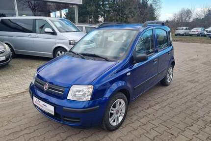 Fiat Panda Gebrauchtwagen