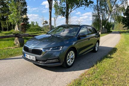 Skoda Octavia Gebrauchtwagen