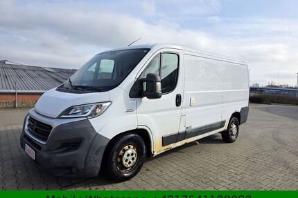 Fiat Ducato Gebrauchtwagen