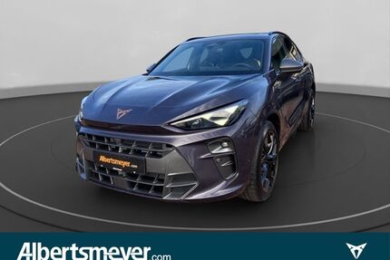 Cupra Terramar Gebrauchtwagen