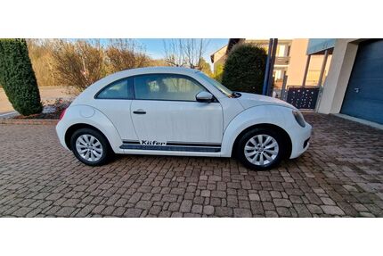 VW Beetle Gebrauchtwagen