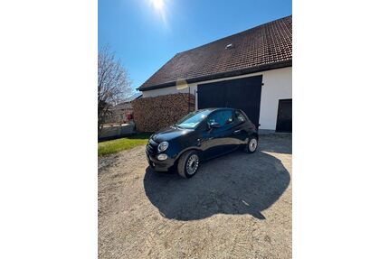 Fiat 500 Gebrauchtwagen