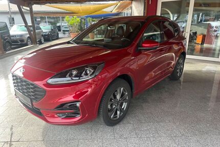 Ford Kuga Gebrauchtwagen