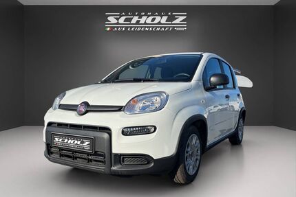 Fiat Panda Gebrauchtwagen