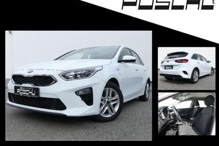 Kia ceed / Ceed Gebrauchtwagen