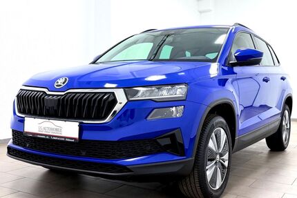 Skoda Karoq Gebrauchtwagen