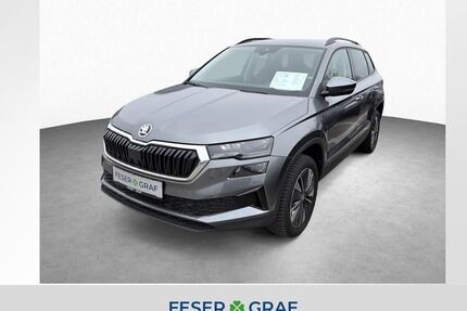 Skoda Karoq Gebrauchtwagen