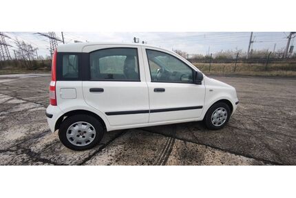 Fiat Panda Gebrauchtwagen