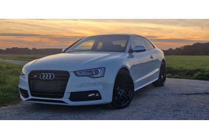 Audi S5 Gebrauchtwagen