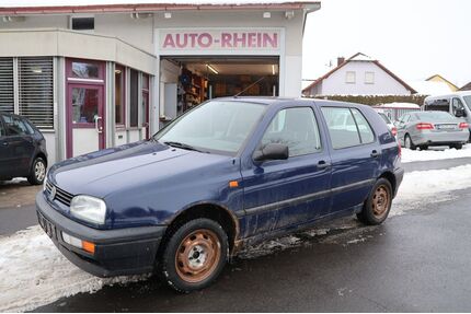 VW Golf Gebrauchtwagen