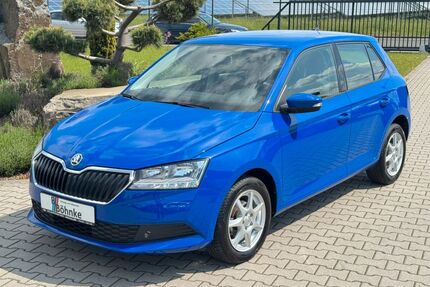 Skoda Fabia Gebrauchtwagen
