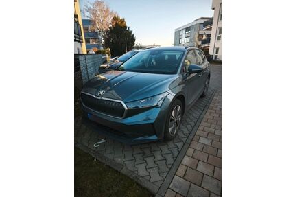 Skoda Enyaq Gebrauchtwagen