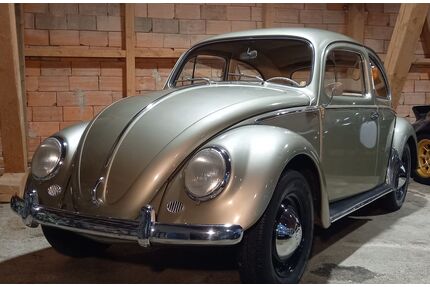 VW Käfer Gebrauchtwagen