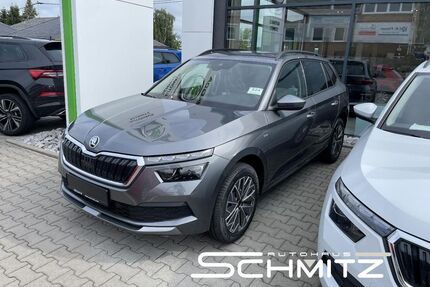 Skoda Kamiq Gebrauchtwagen