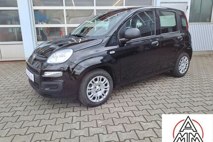 Fiat Panda Gebrauchtwagen