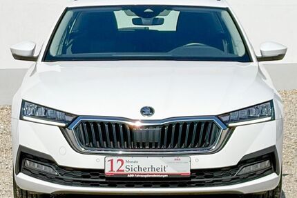 Skoda Octavia Gebrauchtwagen