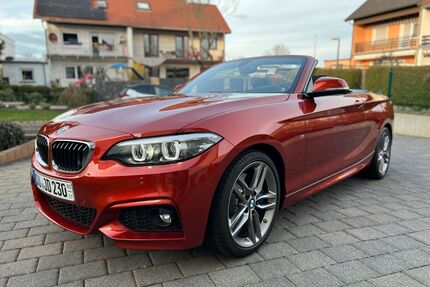 BMW 230 Gebrauchtwagen