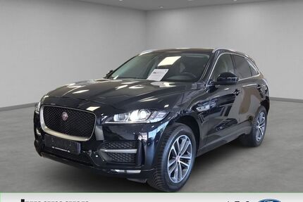 Jaguar F-Pace Gebrauchtwagen