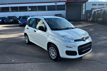 Fiat Panda Gebrauchtwagen