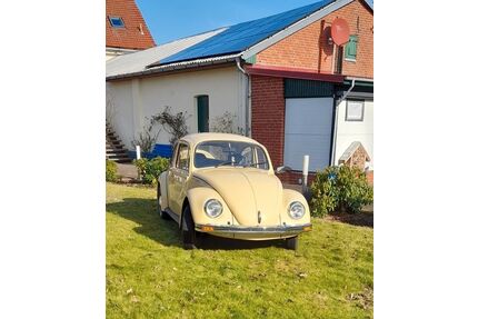 VW Käfer Gebrauchtwagen
