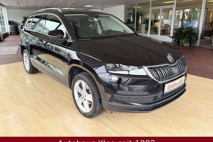 Skoda Karoq Gebrauchtwagen