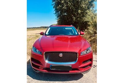 Jaguar F-Pace Gebrauchtwagen
