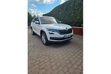 Skoda Kodiaq Gebrauchtwagen