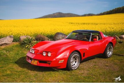 Corvette C3 Gebrauchtwagen