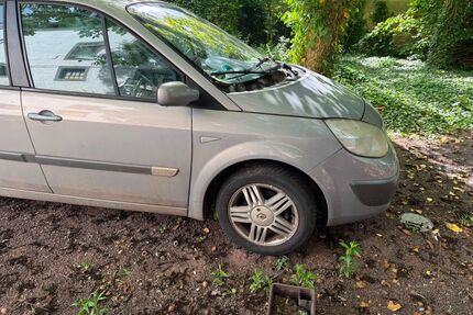 Renault Scenic Gebrauchtwagen