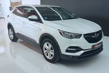 Opel Grandland (X) Gebrauchtwagen