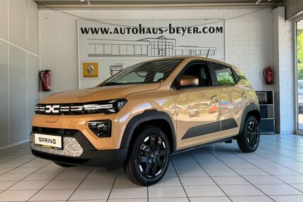 Dacia Spring Gebrauchtwagen