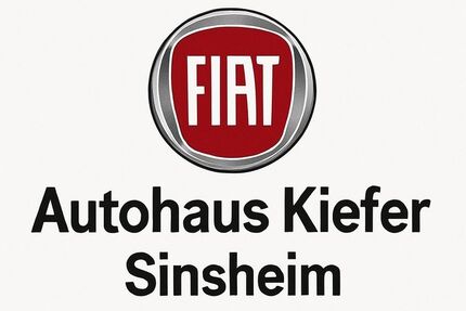 Fiat Grande Panda Gebrauchtwagen